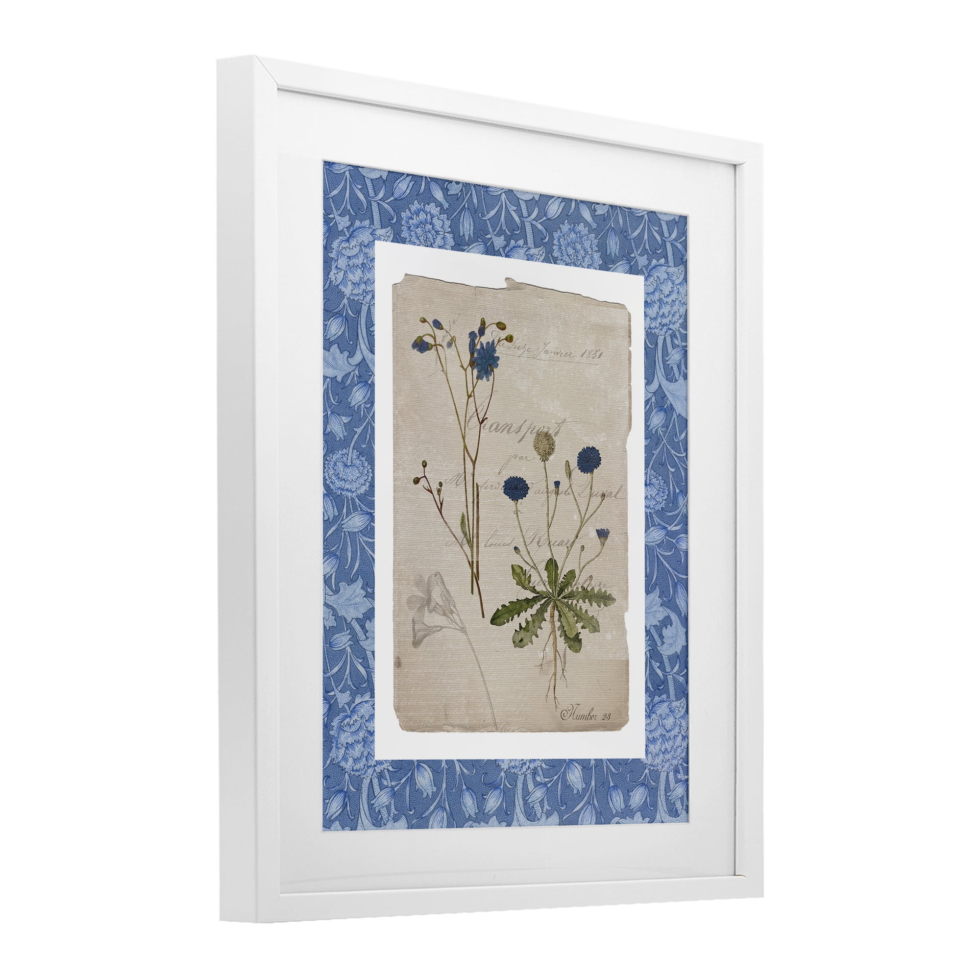 Stupell Industries Blue Antique Herbs White Framed Print Under Glass, design by Livi Finn