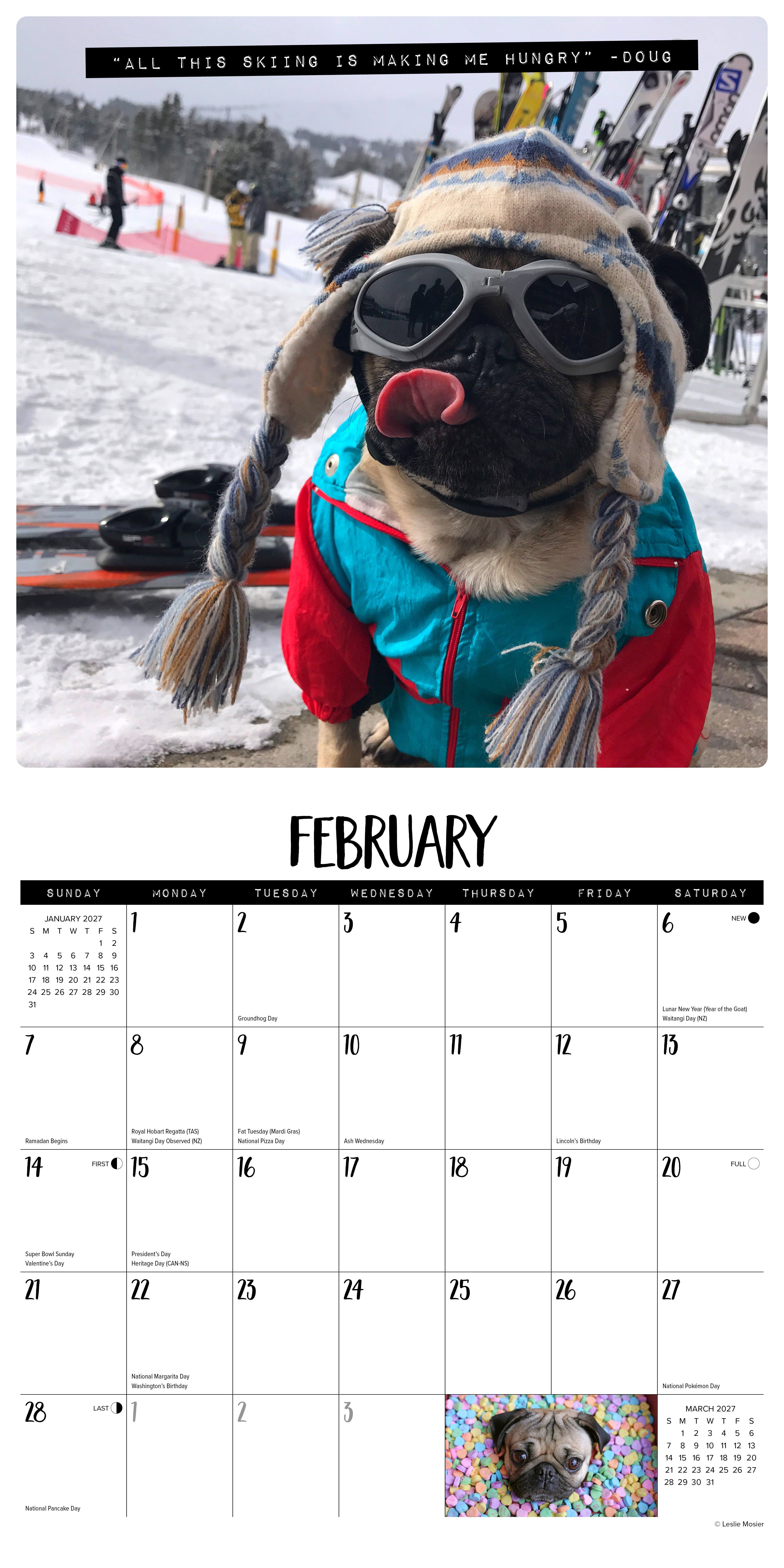 Willow Creek Press, Doug the Pug 2027 Wall Calendar