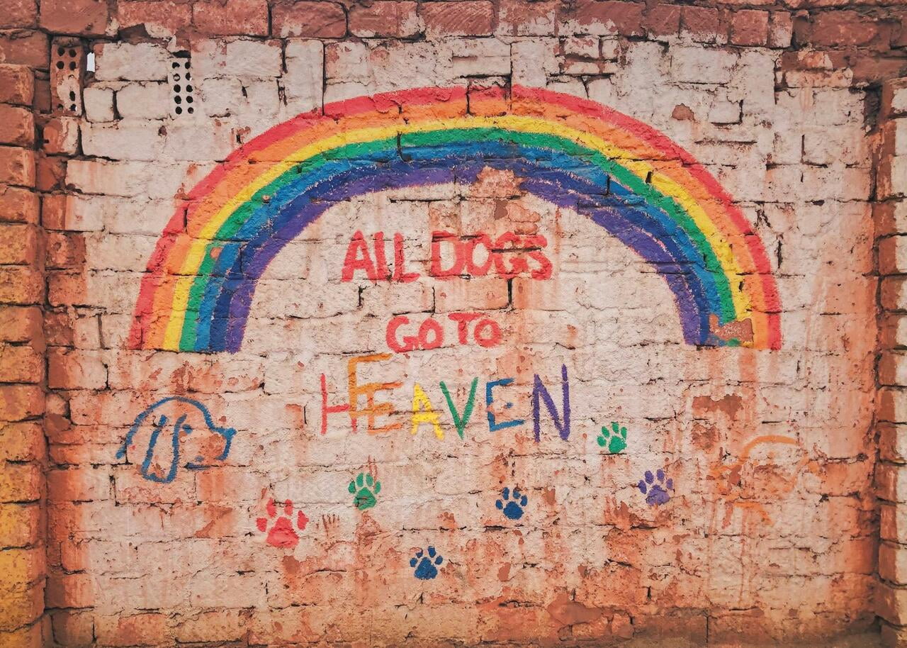 All Dogs Go To Heaven Pet Bereavement/Sympathy Greeting Card