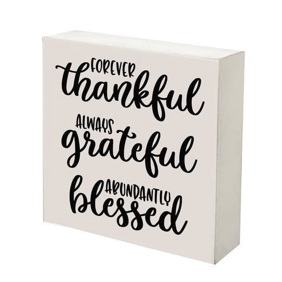 Inspiring Modern Framed Shadow Box 10x10 Forever Thankful