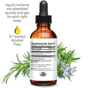 Botanic Choice Rosemary Leaf Extract, Alcohol and Gluten Free Herbal Supplement, 1 Fl Oz.