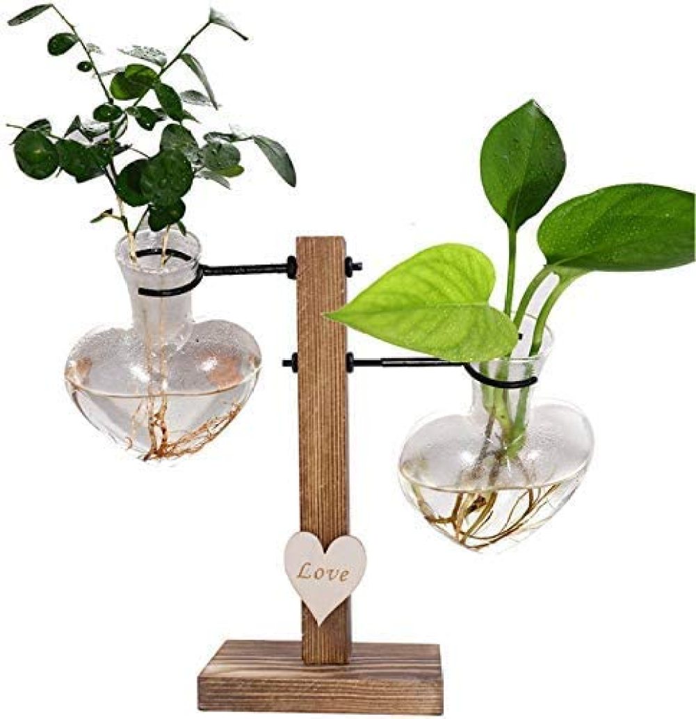 Desktop Hydroponic Glass Vase Vintage Plant Terrarium Water Planting