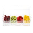 Cold Condiment TrayChilled Serving Container with Ice Chamber, 4