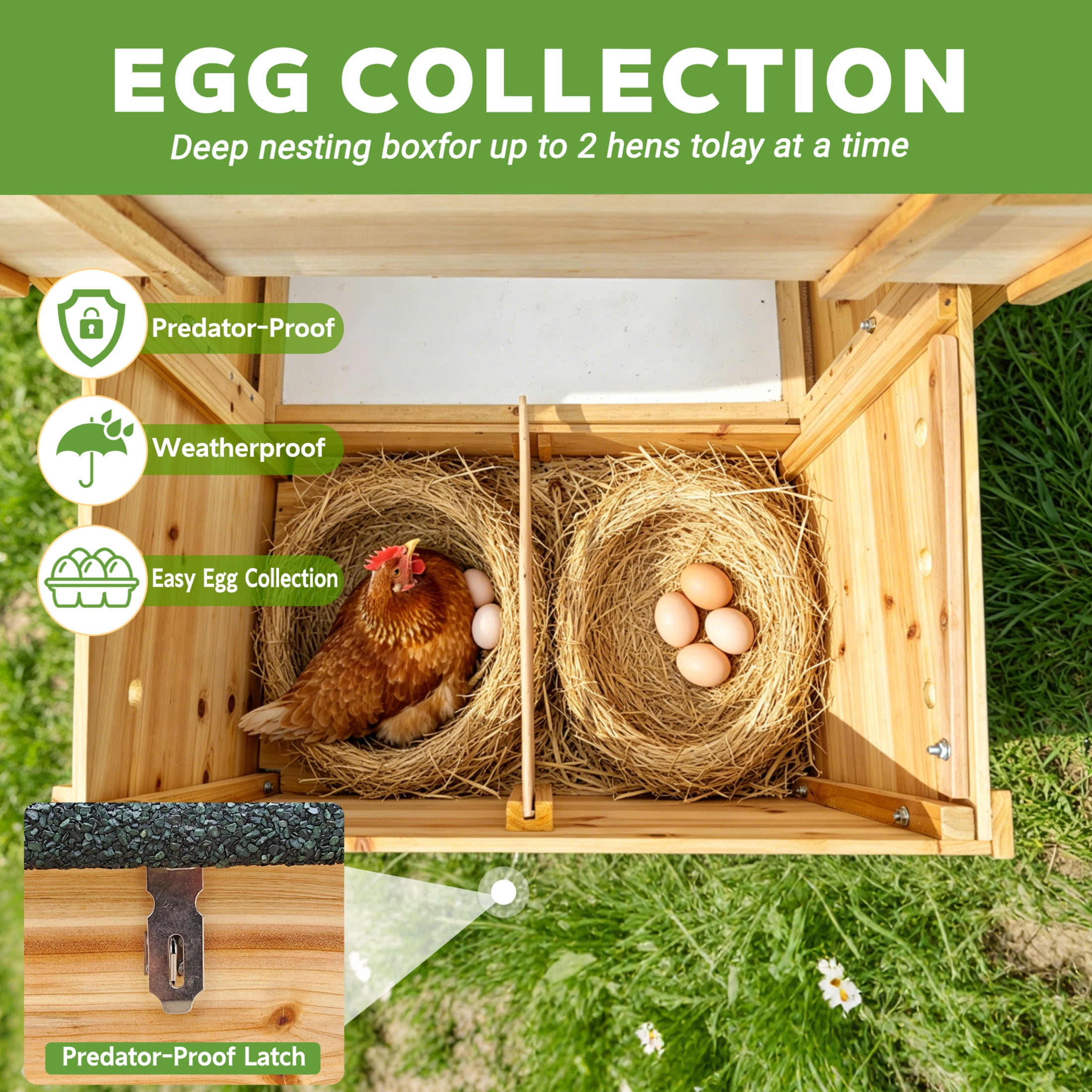 Noble House Wooden Chicken Coop with Nesting Box, Removable Tray & Waterproof Asphalt Roof