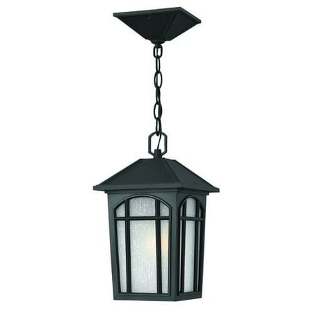 Hinkley 1982BK One Light Hanging Lantern