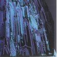thumbnail image 4 of ANDY WARHOL Koln Cathedral Blue, 1993, 4 of 4