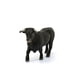 thumbnail image 1 of Schleich Farm World, Animal Figurine, Farm Toys para niños y niñas de 3 a 8 años, Black BU Schleich Schleich, 1 of 2