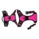 thumbnail image 4 of Arnés Para Perros Reflectante Ajustable Transpirable De, 4 of 8