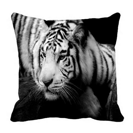 Auburn Tigers Throw Pillow - PHFZK Animal Pillow Case, Lazy Siberian Tiger Black and White Pillowcase Throw Pillow Cushion Cover Two Sides Size 20x20 inches