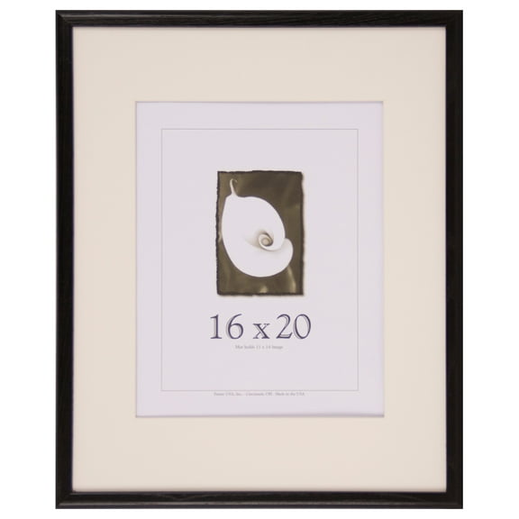 Economy Frames, 16 x 20, Black