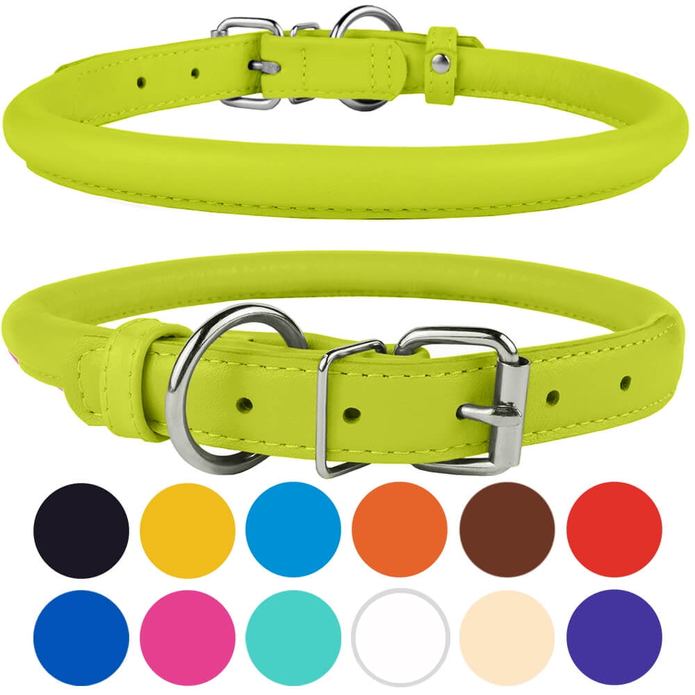 Rolled Leather Dog Collar for Small Dogs, Lime