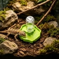 thumbnail image 4 of Reptile Automatic Water Dispenser, Self-Filling Terrarium Water Bowl Pet Drinking Feeder for Lizard Snake Small Reptiles, 4 of 6