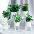 thumbnail image 5 of Kripyery 4 Pack Self-Watering Planters, Plastic Automatic-Watering Plant Pot, Modern Decorative Pot for Indoor House Plants, Flowers (3.94 inch), 5 of 8