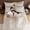 Beige-Full, variant on Army Green Queen Comforter Set - 7-piece All Season Bed In A Bag  Ultra Soft Bedding With Flat Sheet Fitted Pillowcases Pillow Shams