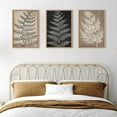 thumbnail image 4 of Framed Botanical Wall Art Set, Black Tan Canvas Plant Wall Decor, Minimalist Wall Painting, Abstact Modern Fern Leaf Artwork for Living Room, Bedroom, Farmhouse, Dinning Room, Office-16 x24 x3, 4 of 5