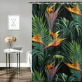 thumbnail image 2 of Orinice Shower Curtain Colorful Flower Beautiful Floral Jungle Pattern Tropical Beauty Watercolor Paradise Bird Black Waterproof Polyester Fabric for Bathroom Decor with Hooks " 36x72, 2 of 7