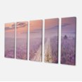 thumbnail image 1 of Designart - Chemin à Travers la Bruyère en Floraison - Impression d'Art sur Toile de Paysage, 1 of 3