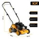 thumbnail image 5 of Podadora de Cesped A Gasolina 5HP 139CC Corte 18 Pulgadas Kingsman, 5 of 9