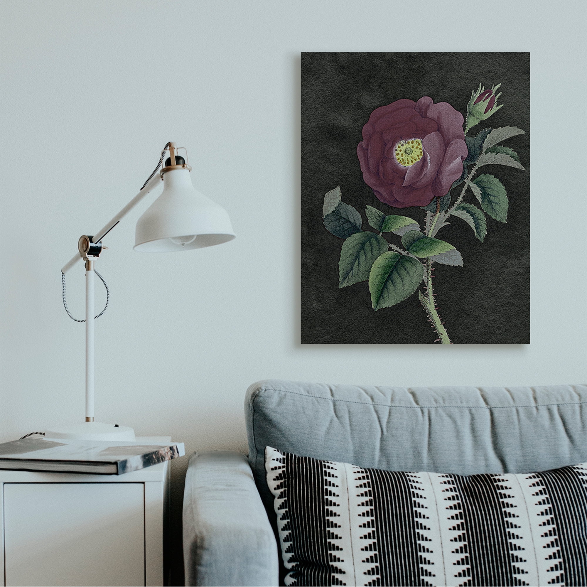 Stupell Industries Purple Poppy Vintage Illustration Thorne Flower Canvas Wall Art by Daphne Polselli