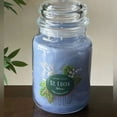 thumbnail image 2 of Yankee Candle Carefree Caribbean Collection St. Lucia Skies Large Original Jar Candle, 2 of 3