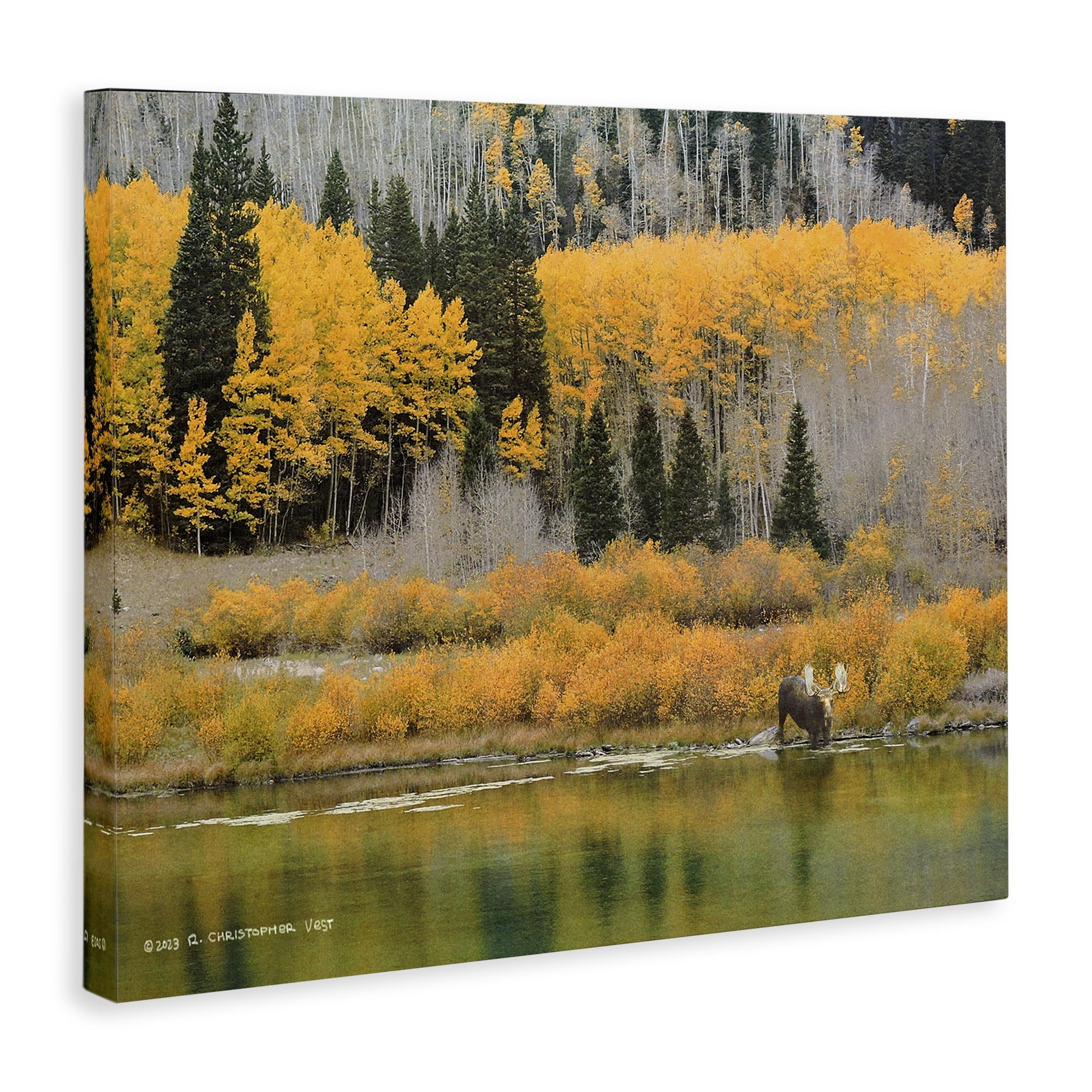 Stupell Industries Moose at Priest Lake Landscape & Nature Photography Wrapped Canvas Art Print Wall Art, 30 x 24