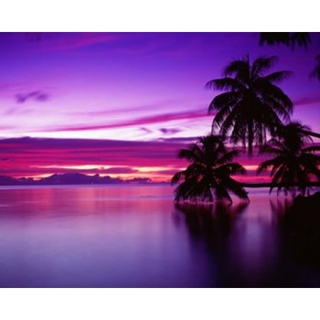 15 Poster Print - South Pacific Morea Poster Print by Panoramic Images (15 x 12)