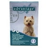 Bayer ADVANTAGE4-TEAL Advantage 4 Pack Dog 11-22 Lbs. - Teal