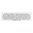 thumbnail image 2 of (Pack Of 18) South Of France Hand Wash Foam Sweet Almond 8 Fl Oz, 2 of 2