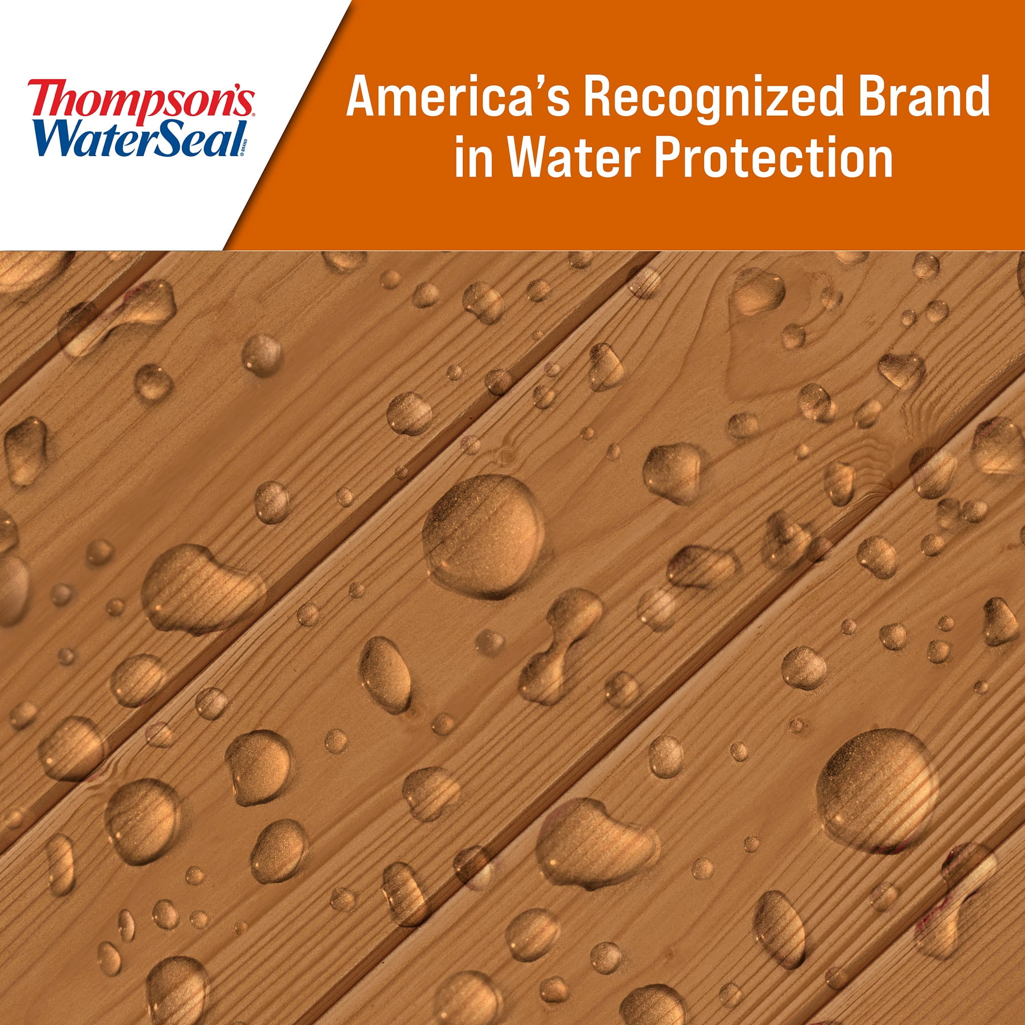 Thompson's WaterSeal Semi-Transparent Natural Cedar Wood Sealer, 1 Gallon