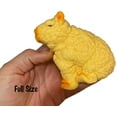 thumbnail image 6 of 1 Grow a Capybara in Water - Add Water and it Grows Toy Fun Science Expanding Novelty Magic Absorbent Polymer Toy (RANDOM COLOR), 6 of 8