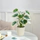 thumbnail image 1 of Artificial Potted Plants Realistic Simulation Green Plants Indoor Home Desk Bookshelf Decor Faux Greenery Decorative Houseplants for Living Room Office, 1 of 6