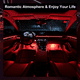 thumbnail image 3 of Wire Hilo Bloosom  3m Luminoso Luz Neon Dj Cable Tron Led Tira Neon Rojo, 3 of 4