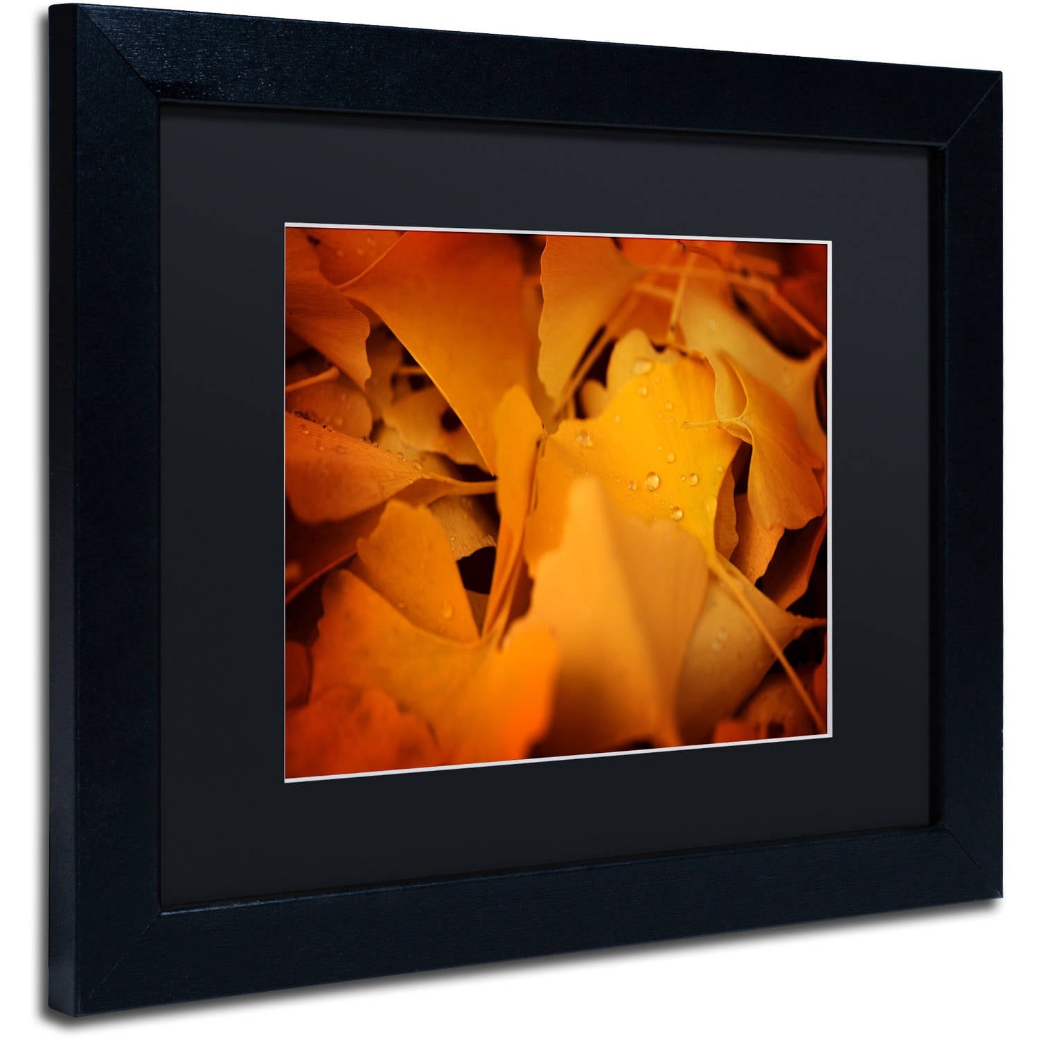 Trademark Fine Art "Divine Pearls" Canvas Art by Philippe Sainte-Laudy Black Matte, Black Frame