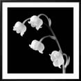 thumbnail image 2 of Art.com Spring Bells I Art Print by Michael Faragher, Black Frame Wall Art, 29" x 29", 2 of 5