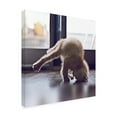 thumbnail image 2 of R. NOB 'Cat Yoga X' Canvas Art, 2 of 3