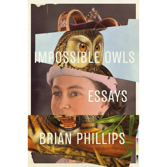 Impossible Owls : Essays (Paperback)