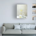 thumbnail image 3 of Canvas Wall Art - Delphine Devos 'Qnatureq Is What We See' Wall Art for Living Room, Bedroom, or Office Décor by Trademark Fine Art - 18 x 24 Inches, 3 of 4