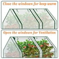 thumbnail image 5 of SUNNY Garden Flower Greenhouse Portable Mini Greenhouse House Yard for Plants/Vegetables (3'x6'x3'), 5 of 12