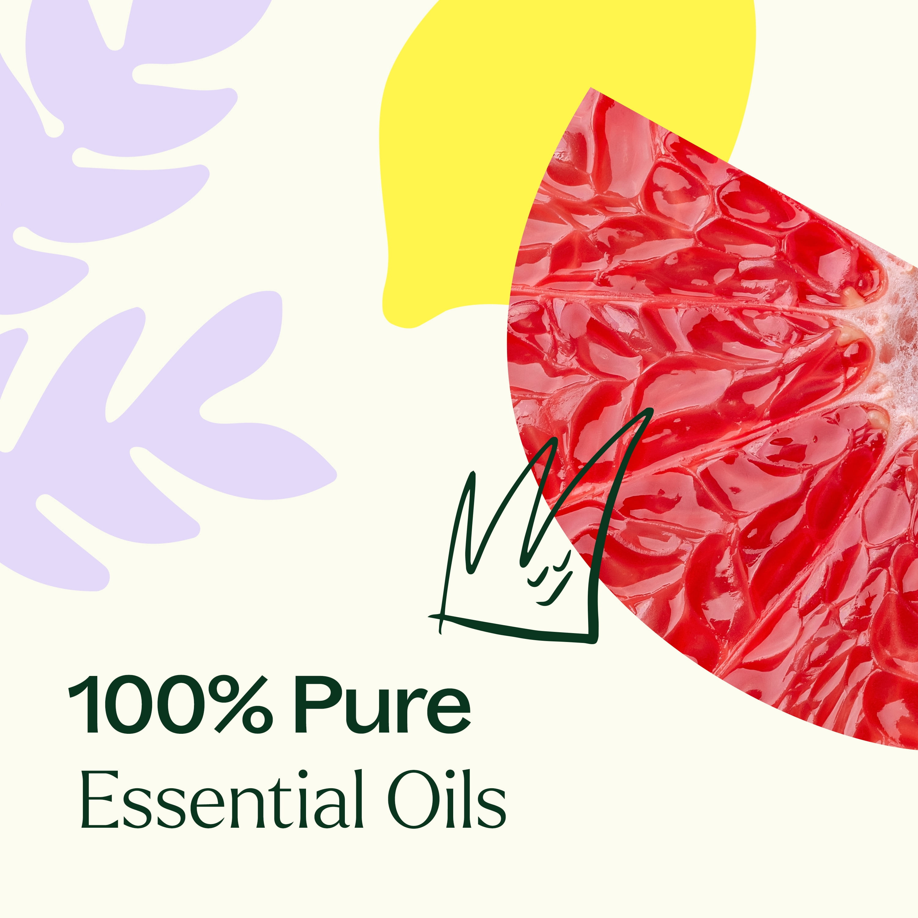 Plant Therapy Defender Blend 30 mL (1 oz) 100% Pure Undiluted Blend of Uplifting and Immune Supporting Essential Oils