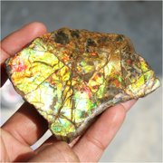 Khushi Gems Natural Ammonite Multicolor Ammolite Loose Gemstones, 517.35Cts