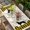 Off White Yellow, variant on Green Black Buffalo Checkered Table Cloths for 4 Foot Rectangle Tables, Bones Cute Dogs Pets Patio Waterproof Elastic Fitted Tablecloths, Washable Rectangular Table Cover for Camping