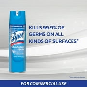 Professional Lysol Disinfectant Spray, Lavender, 19oz