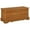 Honey Brown, variant on Bowery Hill Rectangular Traditional Wood Cedar Chest in Natural Honey