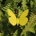 thumbnail image 4 of THHEIC 1 Pack 3D Butterfly Stakes for Garden Decor, 12cm Fake Butterflies Stake for Lawn, Patio, Yard, Pathway, Indoor and Outdoor Ornaments, 4 of 4