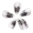 thumbnail image 3 of TISHITA Pipa Nails PC for Musical String Instruments for Beginners Stage Performance Brown L, 3 of 8