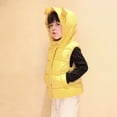 thumbnail image 6 of KAUOD Boys Girls Puffer Vest Zip up Sleeveless Hooded down Jackets Kids Plain Warm Outdoor Windproof Outwear with Pockets, 6 of 8