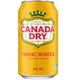 Soda tonique Canada DryMD - Emballage de 12 canettes de 355 mL 12 x 355 ml – image 5 sur 5
