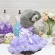 thumbnail image 5 of Vestido para cachorros pequeños y medianos, vestido de princesa de verano para mascotas, vestido para cachorros de niñas, traje para cachorros de chihuahua y yorkshire, vestido para gatos., 5 of 6