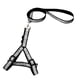 thumbnail image 1 of Xihbxyly Collar para Perro, Diseño Reflectante de Seguridad, Nailon Transpirable, Correa de Entrenamiento Antipérdida, Ideal para Paseos y Entrenamiento Al Aire Libre, Ajuste Cómodo, Tallas S/M/L, Ju, 1 of 2