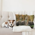 thumbnail image 4 of Ambesonne Animal Throw Pillow Cover 2 Pack, Tiger in Forest, 16", Orange and Brown, 4 of 7